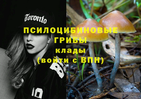 шишки Сафоново