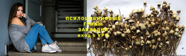 ешки Алзамай