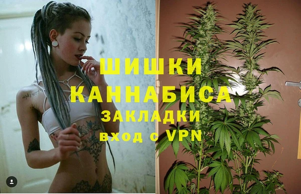 каннабис Алексеевка