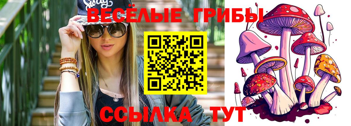 Галлюциногенные грибы Psilocybine cubensis  Вход с VPN  Большой Камень  дарнет шоп  Галлюциногенные грибы Cubensis 